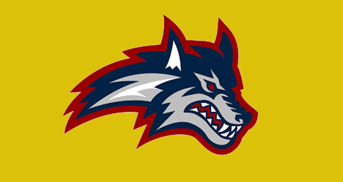 Stony Brook Seawolves vs. Towson Tigers Photo